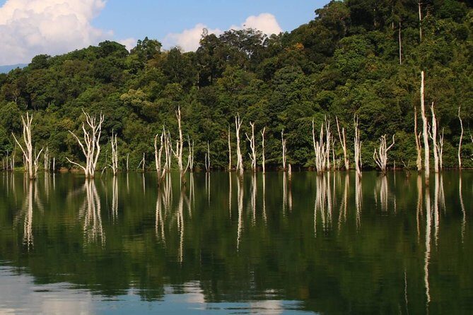 Khao Sok Wildlife 2 Days - Tips I’d Use to Get the Most From Your 2 Days