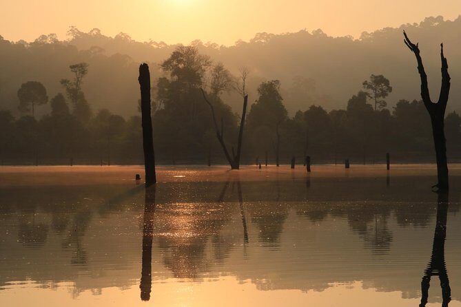 Khao Sok Wildlife 2 Days - Elephants, Gaur, Gibbons, and the Art of Spotting