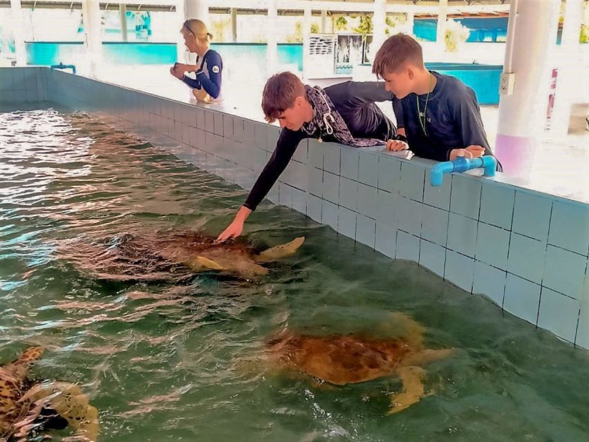 Khaolak: Bamboo Rafting, Waterfalls, and Turtle Conservation - Value check: is $48 worth it?