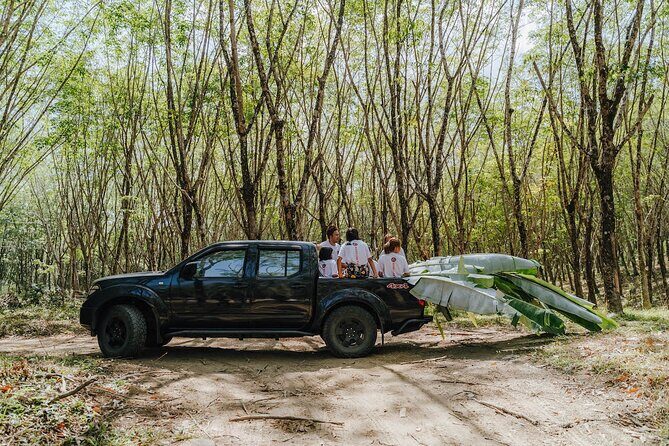 Khaolak Elephant Sanctuary, Cooking Class and Waterfall Tour - Market stop for elephant food: a local taste you help create