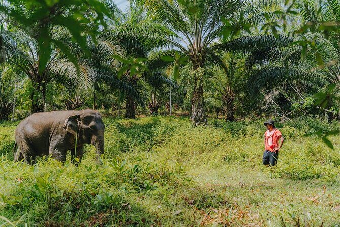 Khaolak Elephant Sanctuary, Cooking Class and Waterfall Tour - Entering the mahout routine: safety, outfit change, and first steps