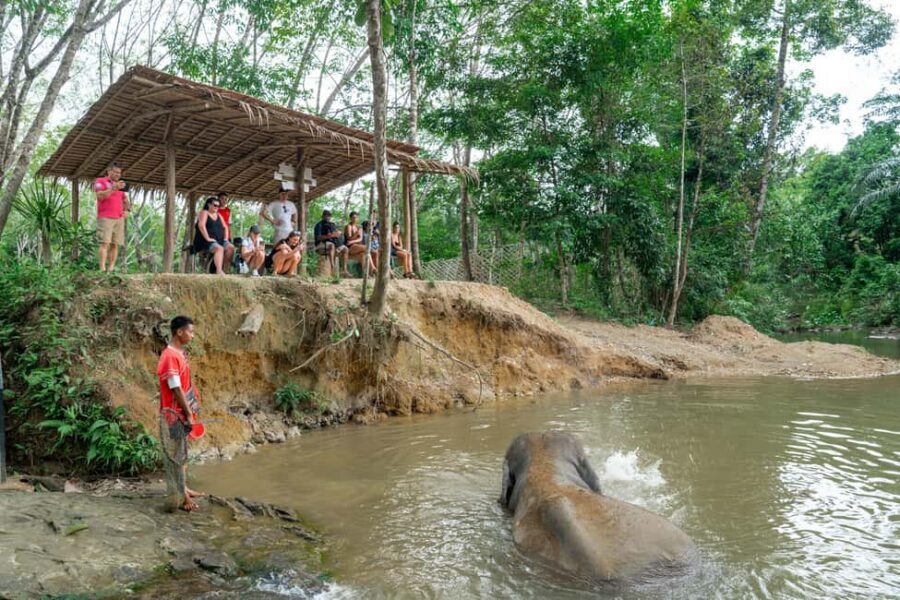 Khaolak: Elephant Sanctuary Guided Tour with Hotel Transfers - Entering Khao Lak’s Ethical Elephant Sanctuary: What Makes It Different