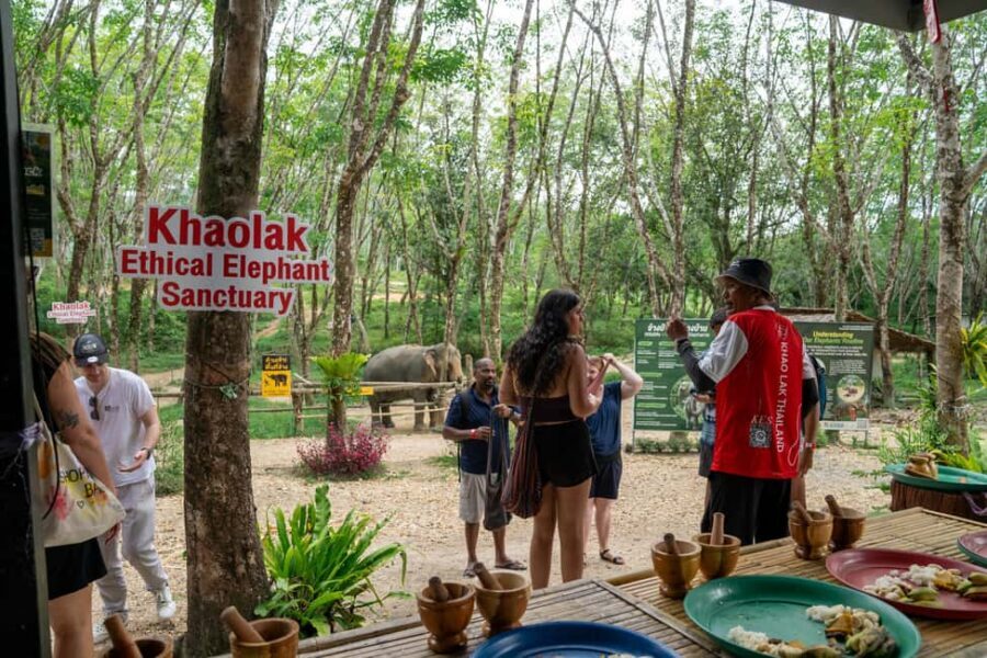 Khaolak: Elephant Sanctuary Guided Tour with Hotel Transfers - Getting There With Hotel Transfers: How the Timing Works