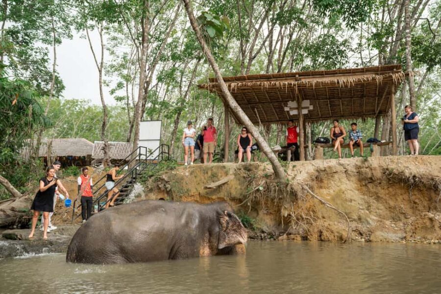 Khaolak: Elephant Sanctuary Guided Tour with Hotel Transfers - Food Basket Preparation: The Moment You’ll Remember