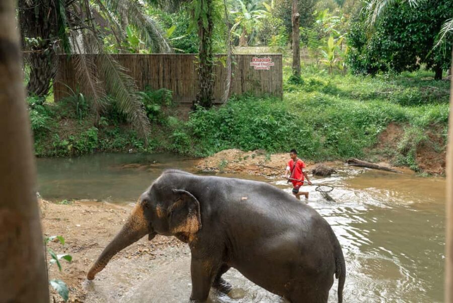 Khaolak: Elephant Sanctuary Guided Tour with Hotel Transfers - Unlimited Photos Without the Chaos: Getting the Shot