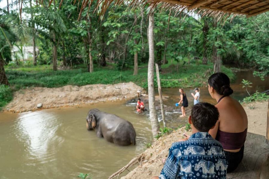 Khaolak: Elephant Sanctuary Guided Tour with Hotel Transfers - Hotel pickup and drop-off around Khao Lak: easy, but be early
