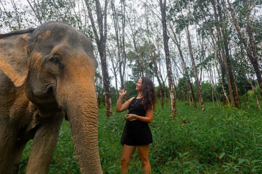Khaolak: Sunset Elephant Walk with Complimentary Cocktail - Sunset Elephant Walk in Khao Lak: what this experience really focuses on