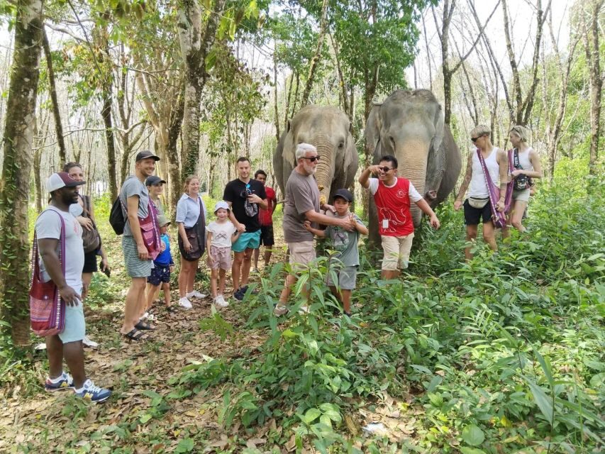 Khaolak: Sunset Elephant Walk with Complimentary Cocktail - Should you book this sunset elephant walk with a complimentary cocktail?
