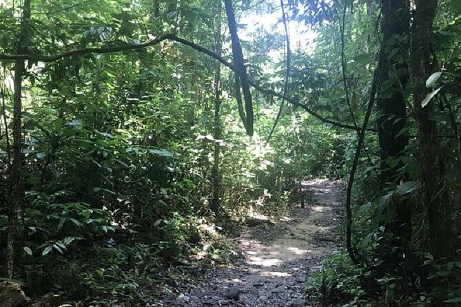Khaosok Jungle Exploration from Khaolak - What kind of traveler should book this?