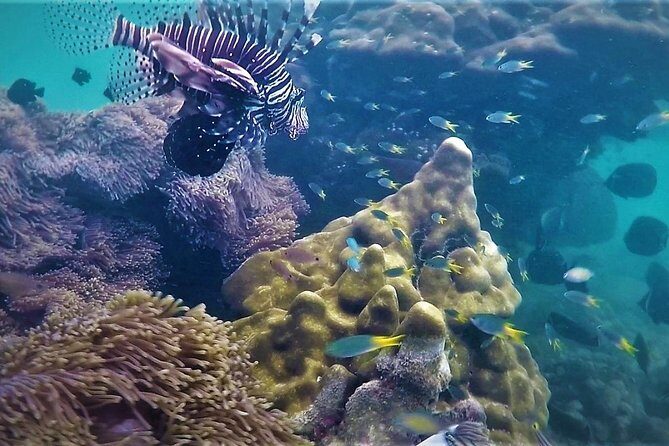 Local Reef Snorkelling and Deserted Beach - Khao Lak, the crowd-free choice for snorkel lovers