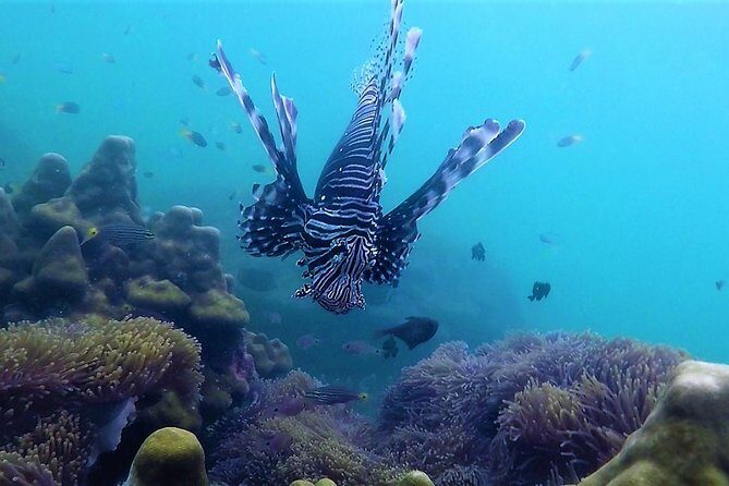 Local Reef Snorkelling and Deserted Beach - When snorkeling conditions change: flexible plans keep the day alive