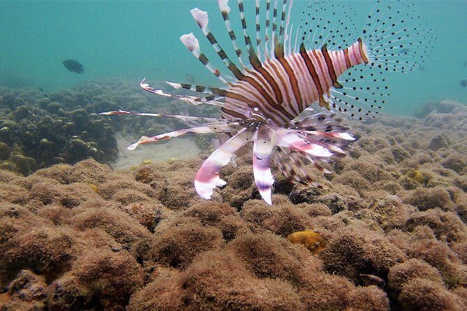 Local Reef Snorkelling and Deserted Beach - Mangrove waterways and fishing towns: the ride you’ll remember