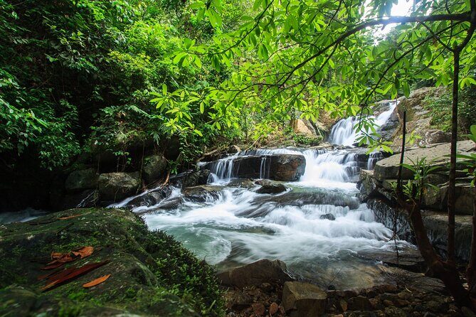 Off Road Safari Khao Lak - Off-Road Khao Lak National Park: Drive Time Plus the Top-of-the-Jeep Moment