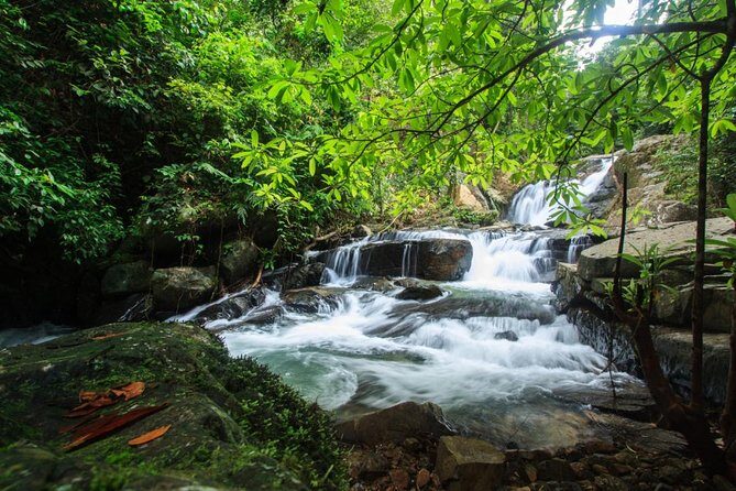 Off Road Safari Khao Lak - Mangrove Canoe Trip: Slow Water, Big Nature Moments