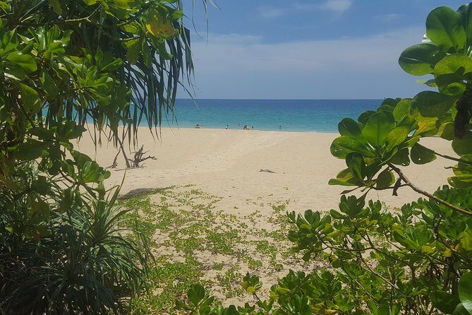 Shoreline Cruise and Secluded Beach - Small-Group Size (Max 6) and How It Changes the Vibe