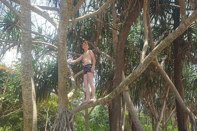 Shoreline Cruise and Secluded Beach - Khao Na Yak Beach Time: The Real Payoff