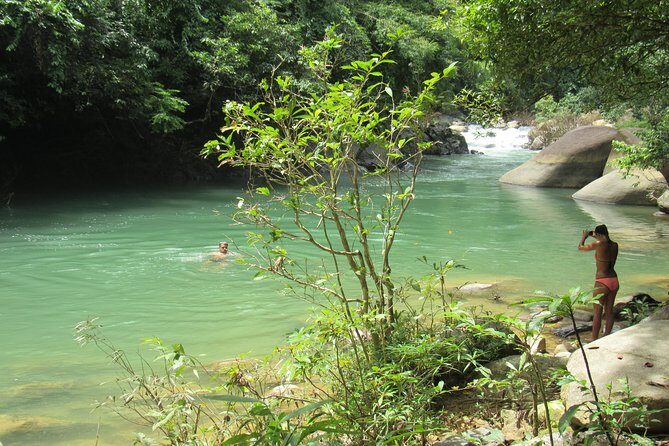Small-Group Full-Day Khao Sok Nature Tour From Khao Lak - The bamboo coffee break: a small stop with real payoff
