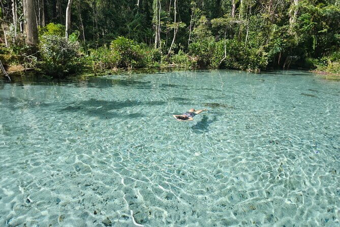 Surin Islands Snorkel Tour by SeaStar Andaman from Khao Lak - Ko Surin and Ko Surin Nuea: what to look for on land and in the water