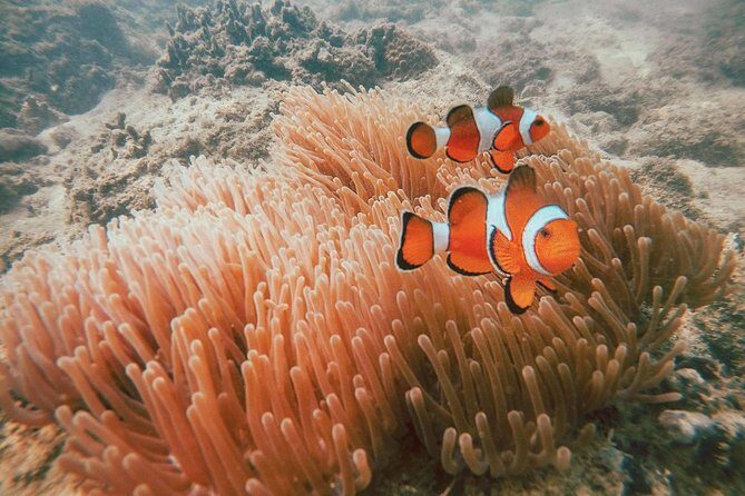 Surin Islands Snorkel Tour by SeaStar Andaman from Phuket - The Moken sea gypsy village stop: a human-scale break
