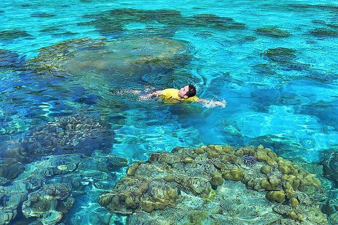 Surin Islands Snorkeling Day Trip By Love Andaman From Khao Lak - Snorkeling setup: included gear and what to watch for
