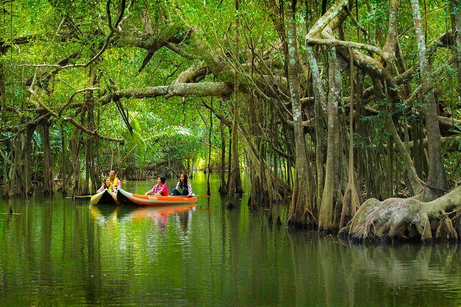 The Little Amazon and Sri Phang Nga Waterfall Full Day Tour From Khao Lak - Key highlights you’ll feel right away
