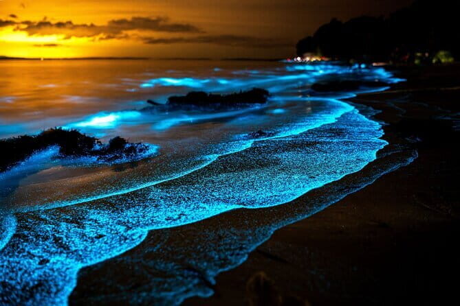 Twiligth Sea Canoe and Bioluminescent Plankton - Key highlights worth getting excited about